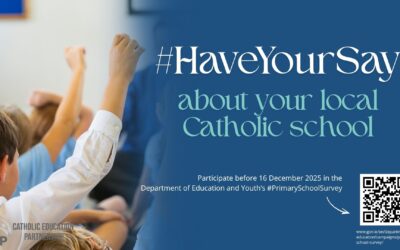 Learn more about the Survey on Primary Schools